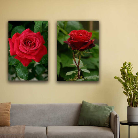 2 pcs Wall frame Art